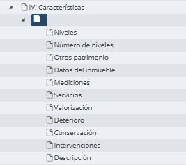 CARACTERÍSTICAS.jpg